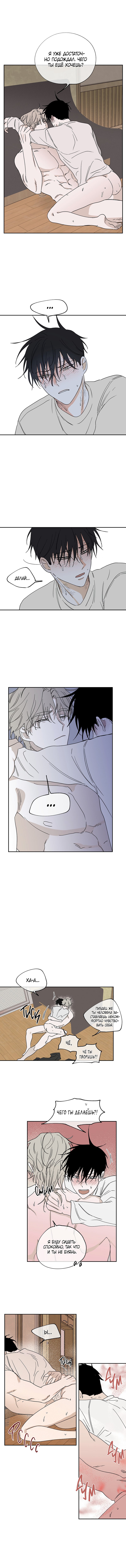 Глава 11 — Ночь у берега (6)