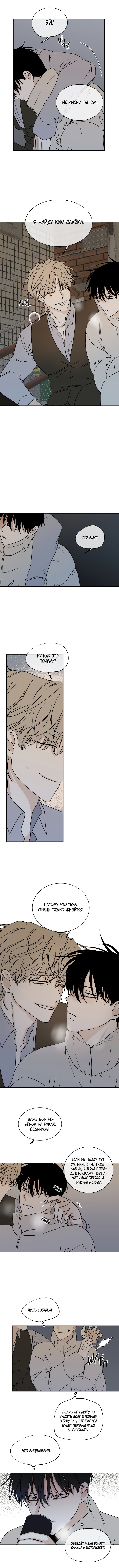 Глава 20 — Ночь у берега (6)