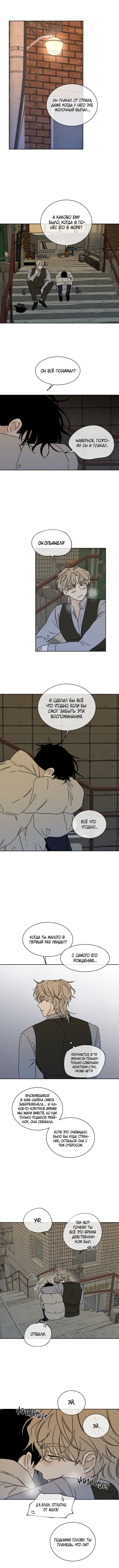 Глава 20 — Ночь у берега (8)