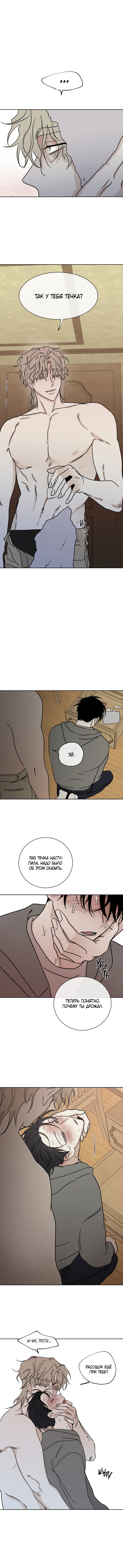 Глава 25 — Ночь у берега (5)