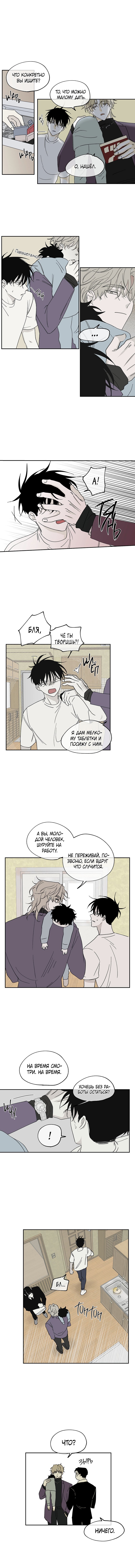 Глава 8 — Ночь у берега (2)